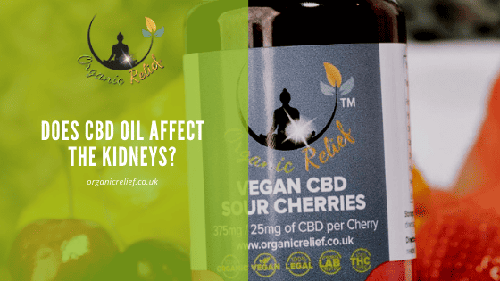 Does CBD Oil Affect The Kidneys