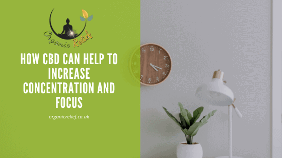 How CBD can help to increase concentration and focus