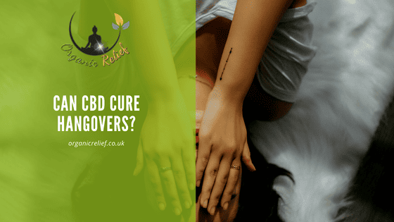 Can CBD cure hangovers?