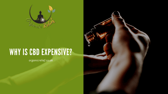 Why is CBD expensive?