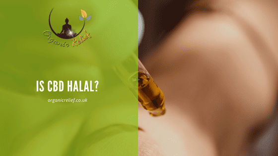Is CBD Halal?