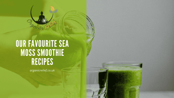 Our favourite Sea Moss smoothie recipes
