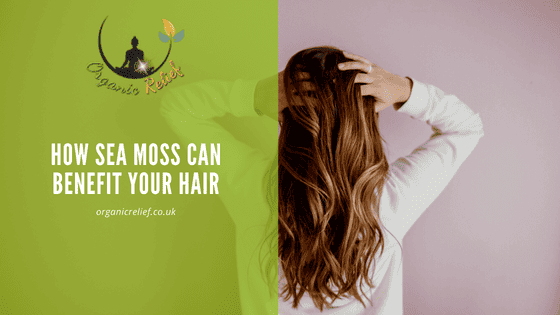 SEA MOSS FOR HAIR