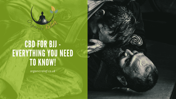 CBD for BJJ - Everything you need to know!