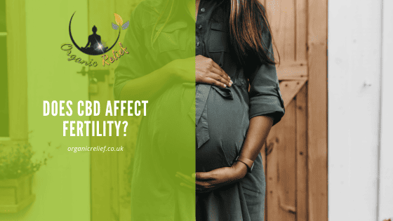 Does CBD Affect Fertility?