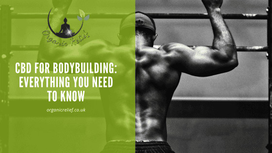 CBD for bodybuilding: everything you need to know