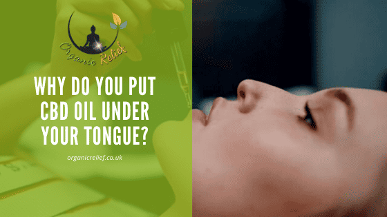 Why do you put CBD oil under your tongue?