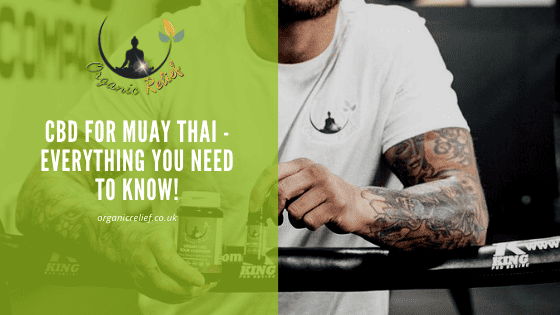 CBD for Muay Thai
