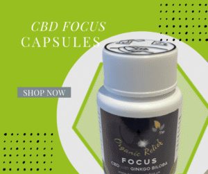 CBD Focus