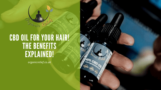 CBD oil for your hair