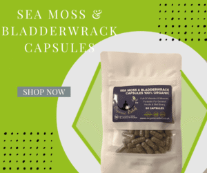 Sea Moss & Bladderwrack capsules
