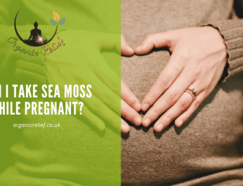 Can I take Sea Moss while pregnant?
