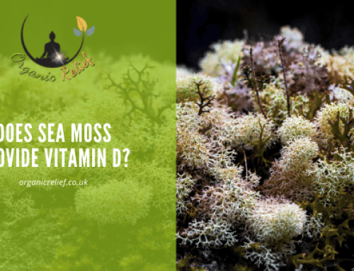 Does Sea Moss Provide Vitamin D?